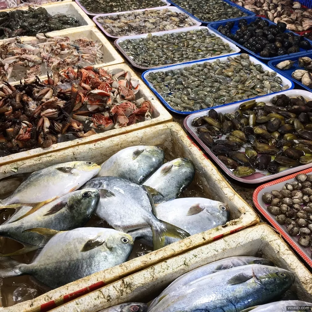 Fresh seafood for sale at a market, Vung Tau - Vinalib Stock Pictures