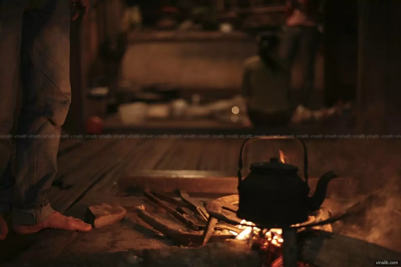 Wood Fire - Vinalib Stock Pictures