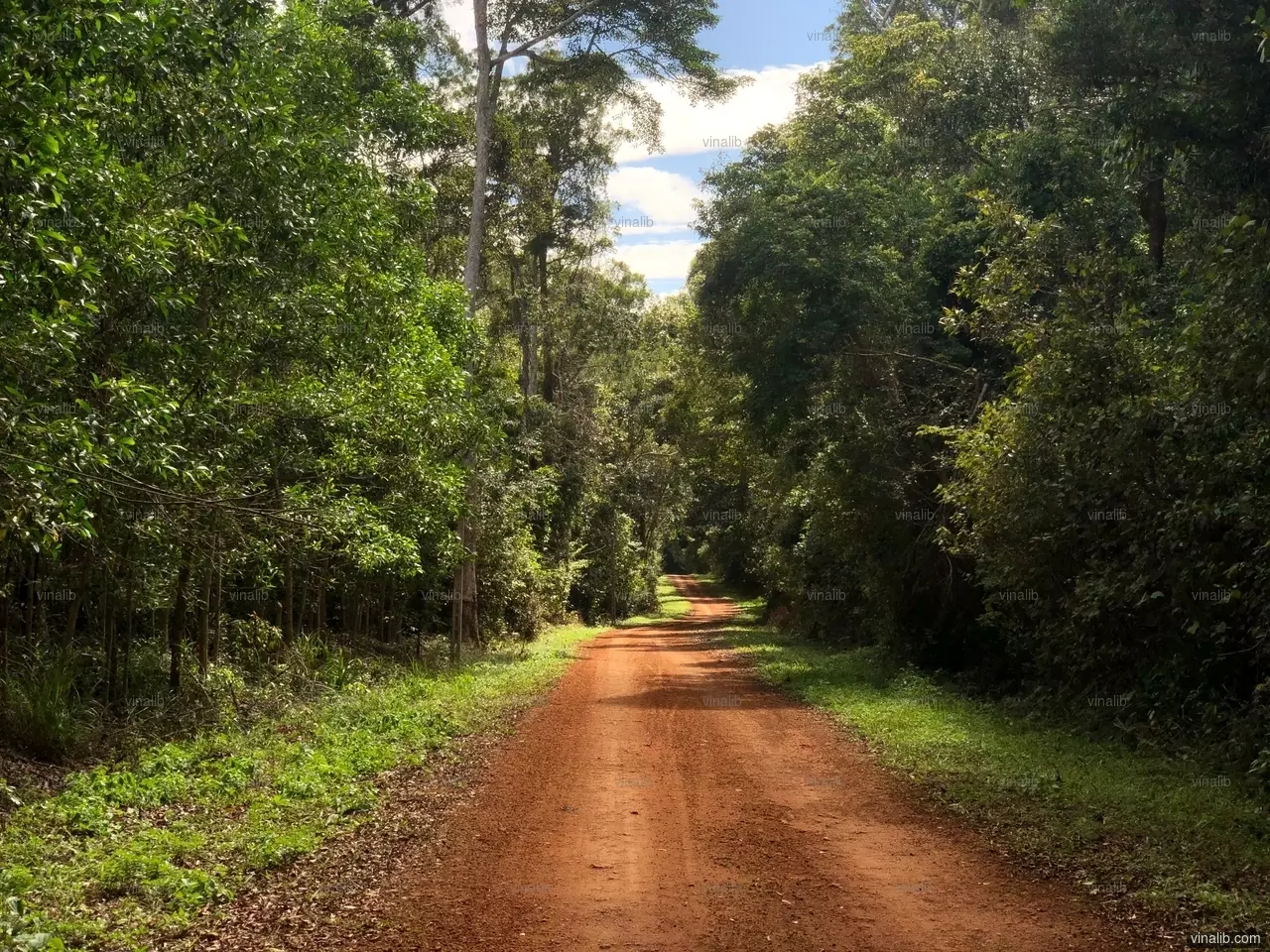 A red road, Vinh Thanh district - Vinalib Stock Pictures