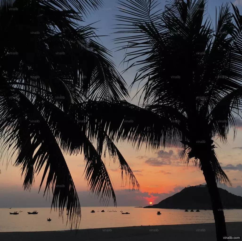 Sunrise on Bai Xep, Quy Nhon - Vinalib Stock Pictures