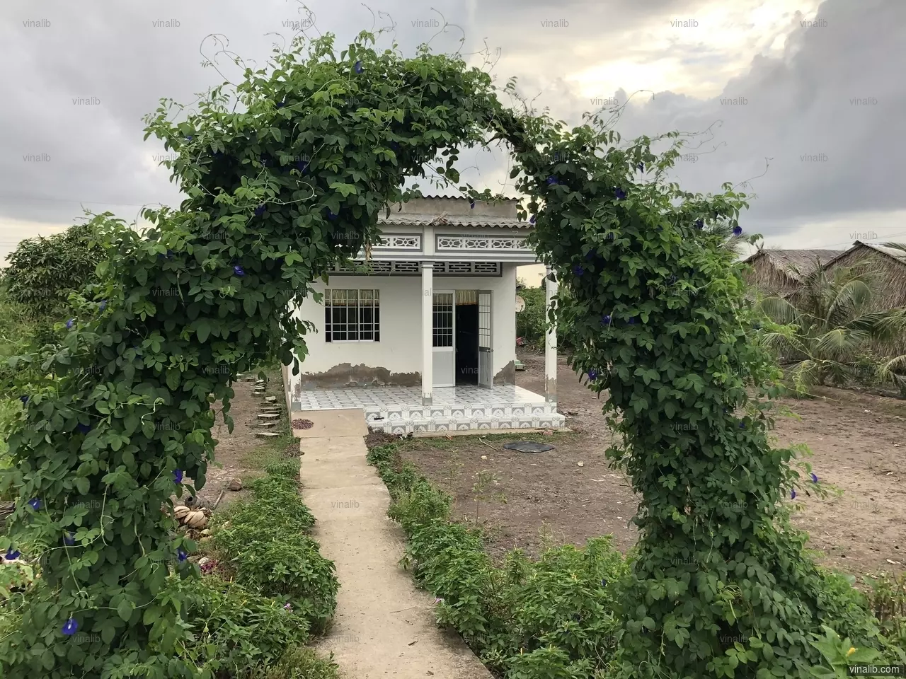 A gated house, Tran Van Thoi district, Ca Mau province - Vinalib Stock Pictures