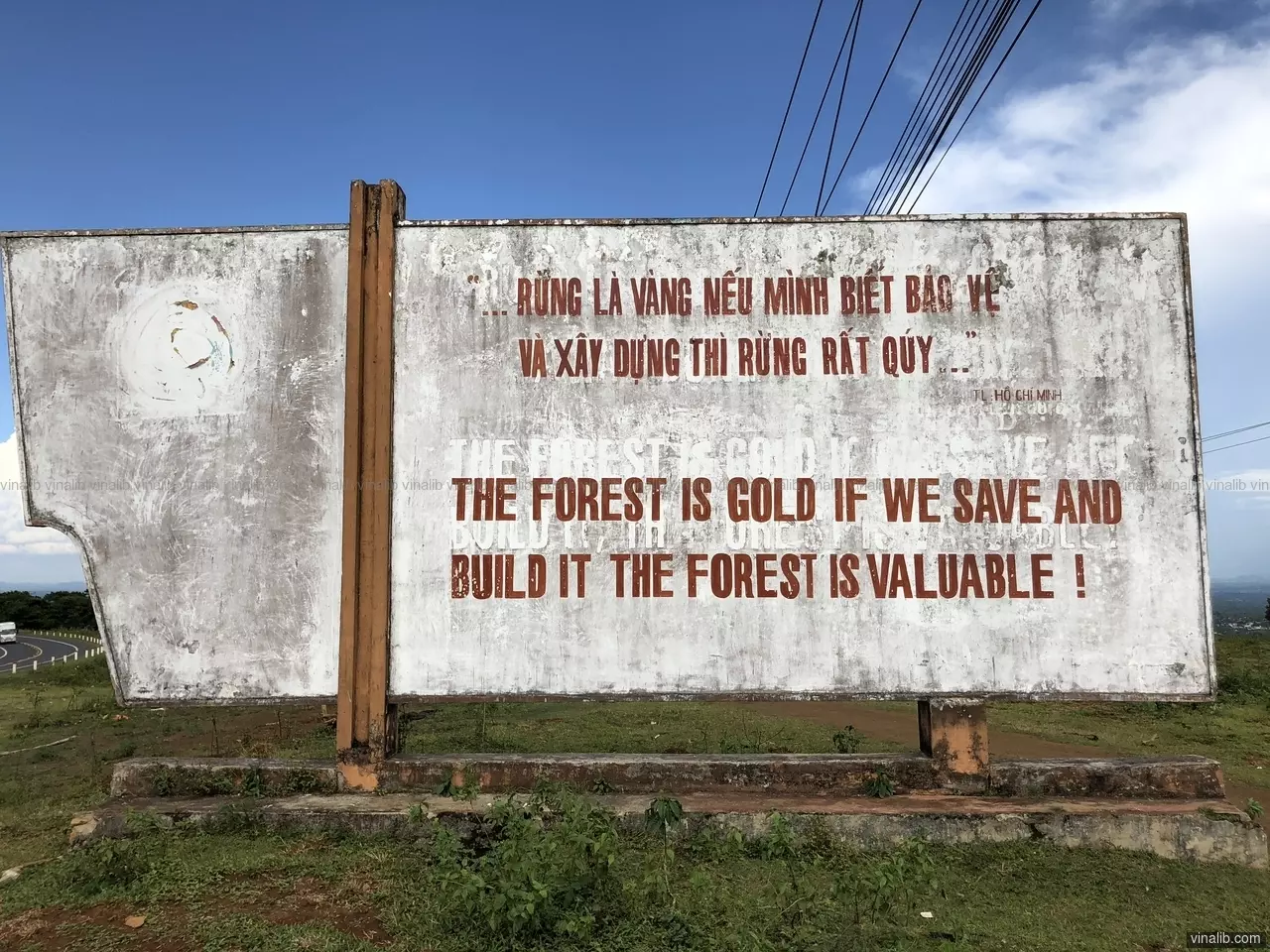 The forest is gold if we save and built it, the forest is valuable ! - Vinalib Stock Pictures