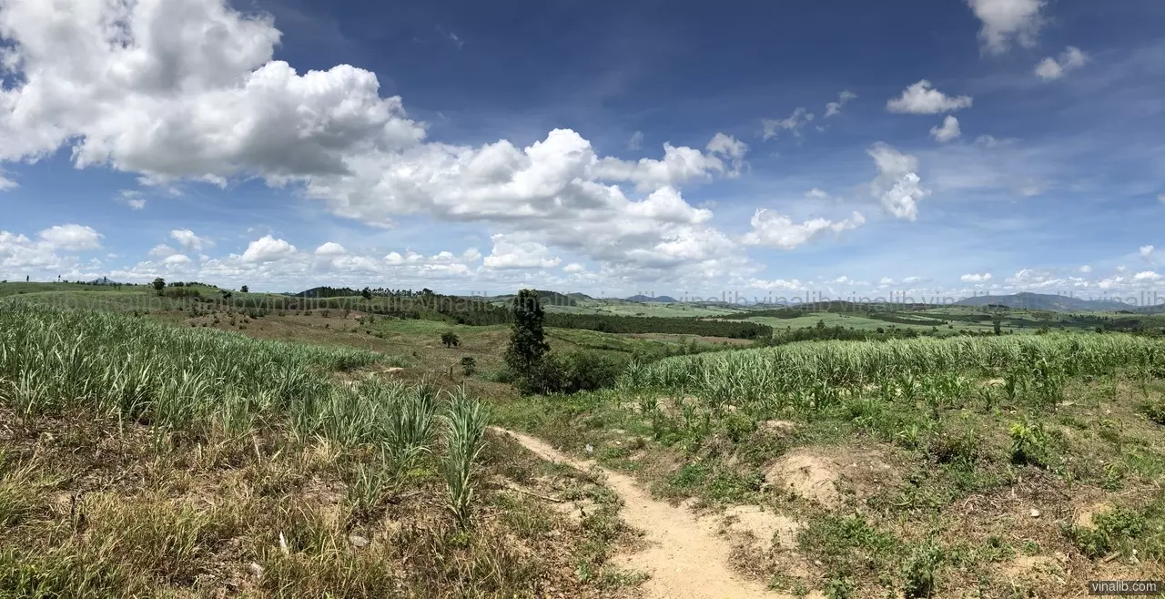 Going offroad, on the Highlands of Gia Lai province - Vinalib Stock Pictures