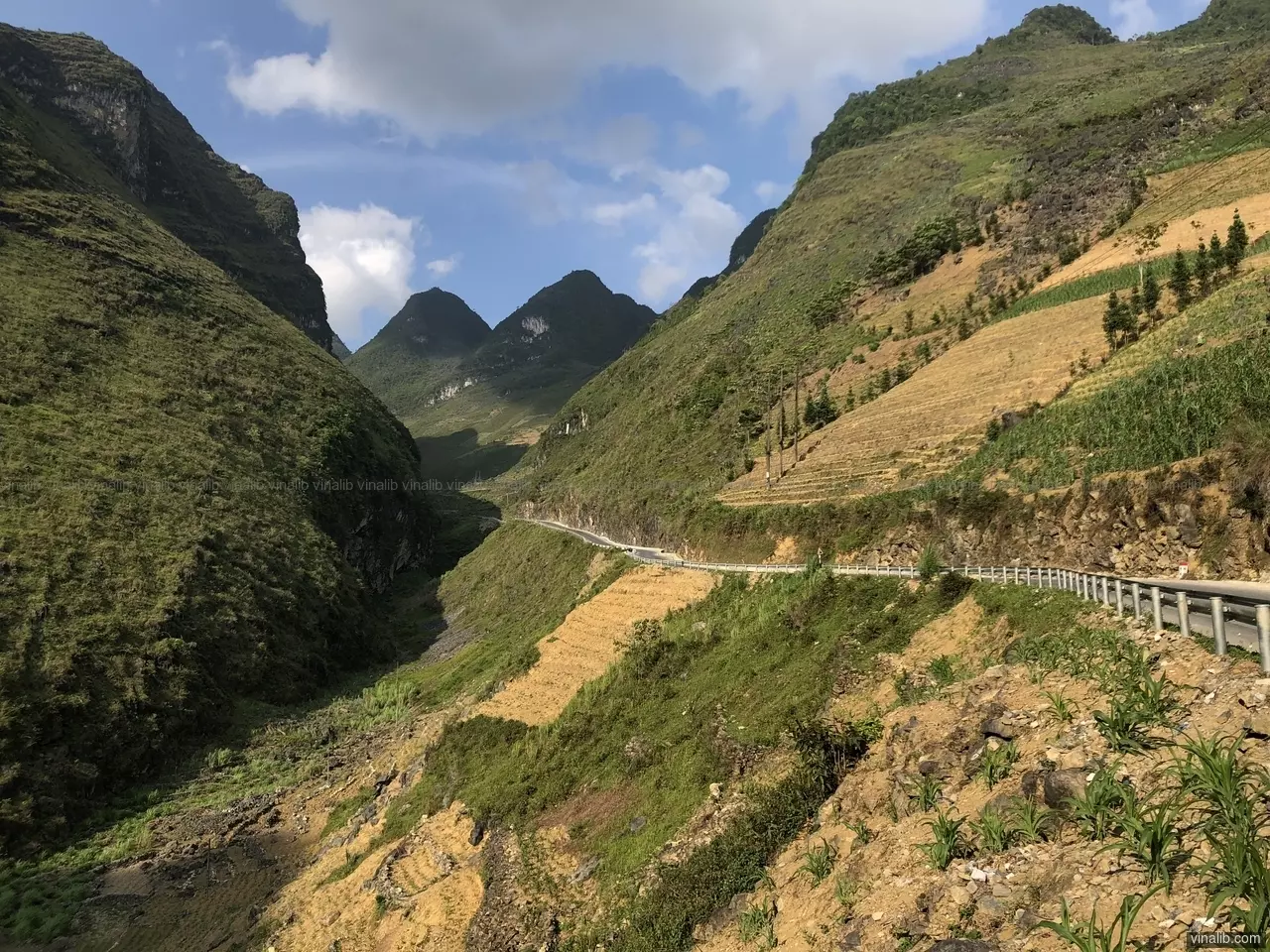 The road to Lung Thau - Vinalib Stock Pictures
