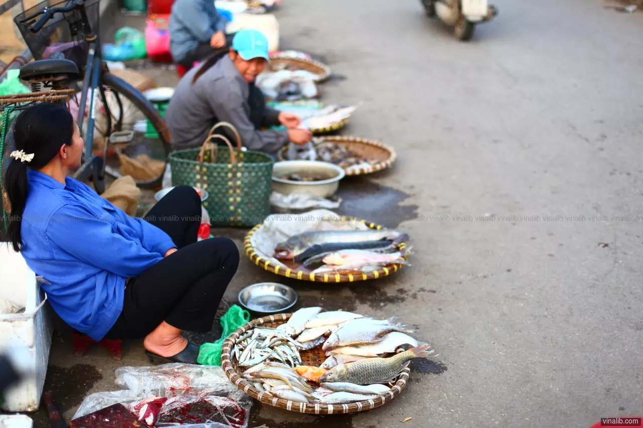 A fish seller on Long Bien bridge, Hanoi, Vietnam - Vinalib Stock Pictures
