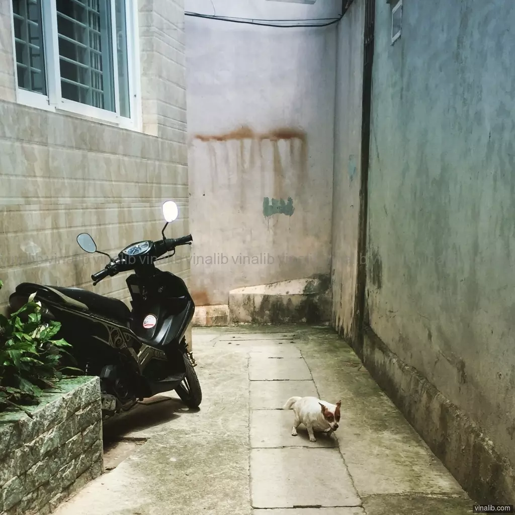 A corner lane in Hanoi, off Au Co street - Vinalib Stock Pictures