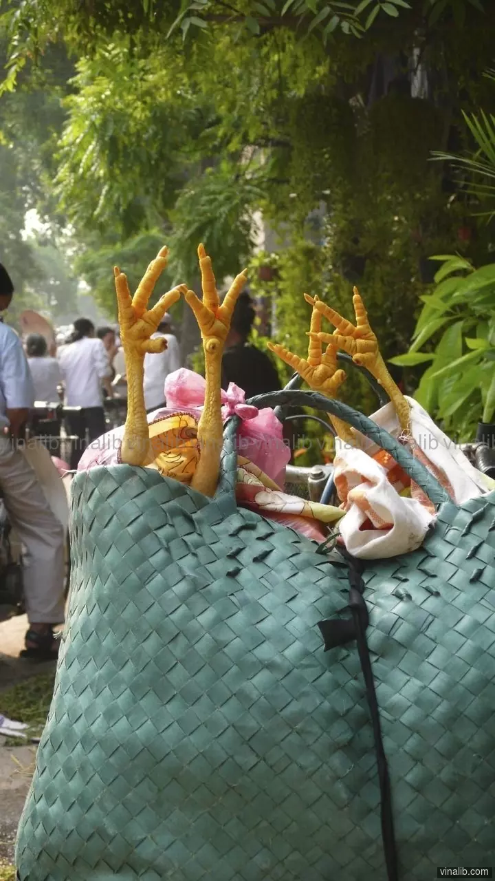 Fresh Chicken Legs, Hanoi, Vietnam - Vinalib Stock Pictures