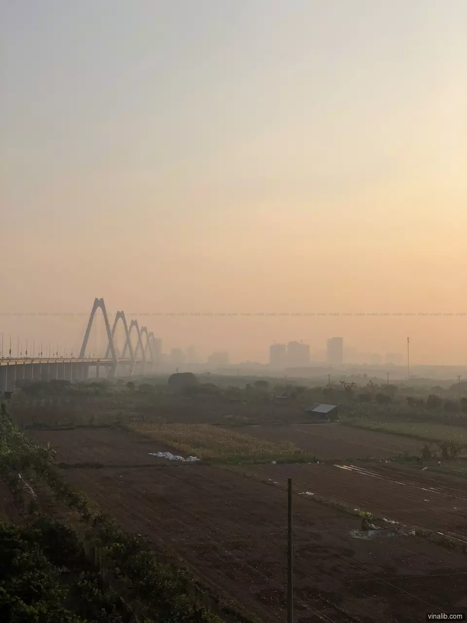 Nhat Tan bridge - Vinalib Stock Pictures