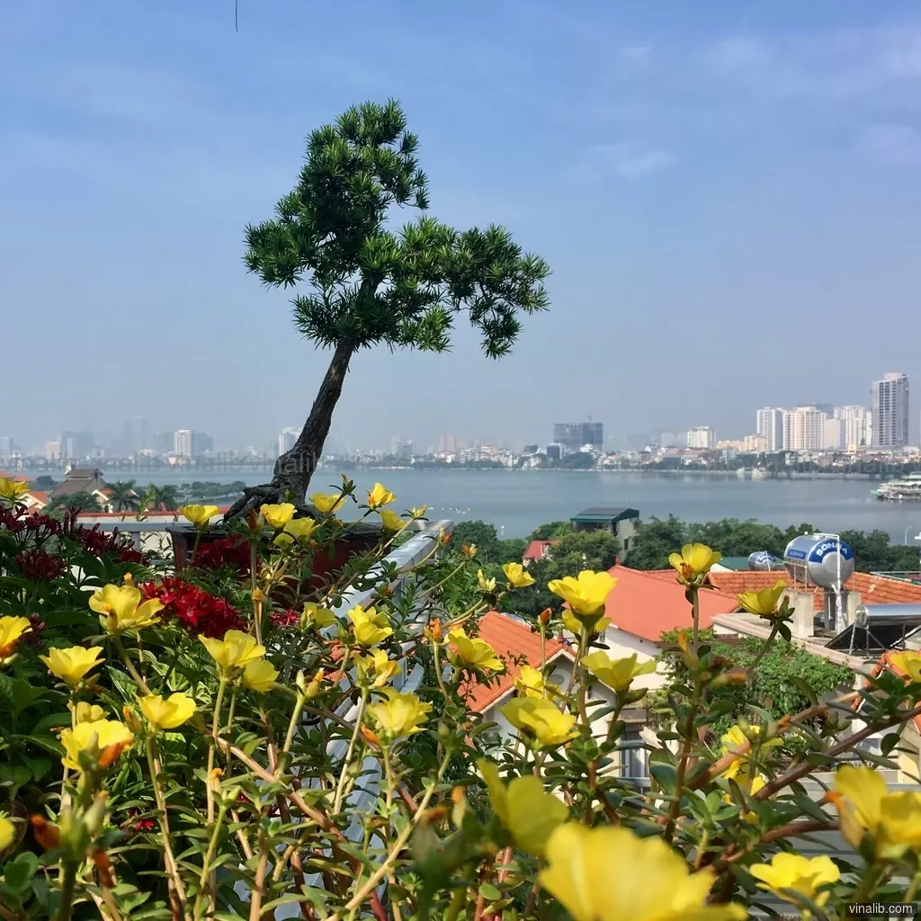 A rooftop view in Hanoi, Vietnam - Vinalib Stock Pictures