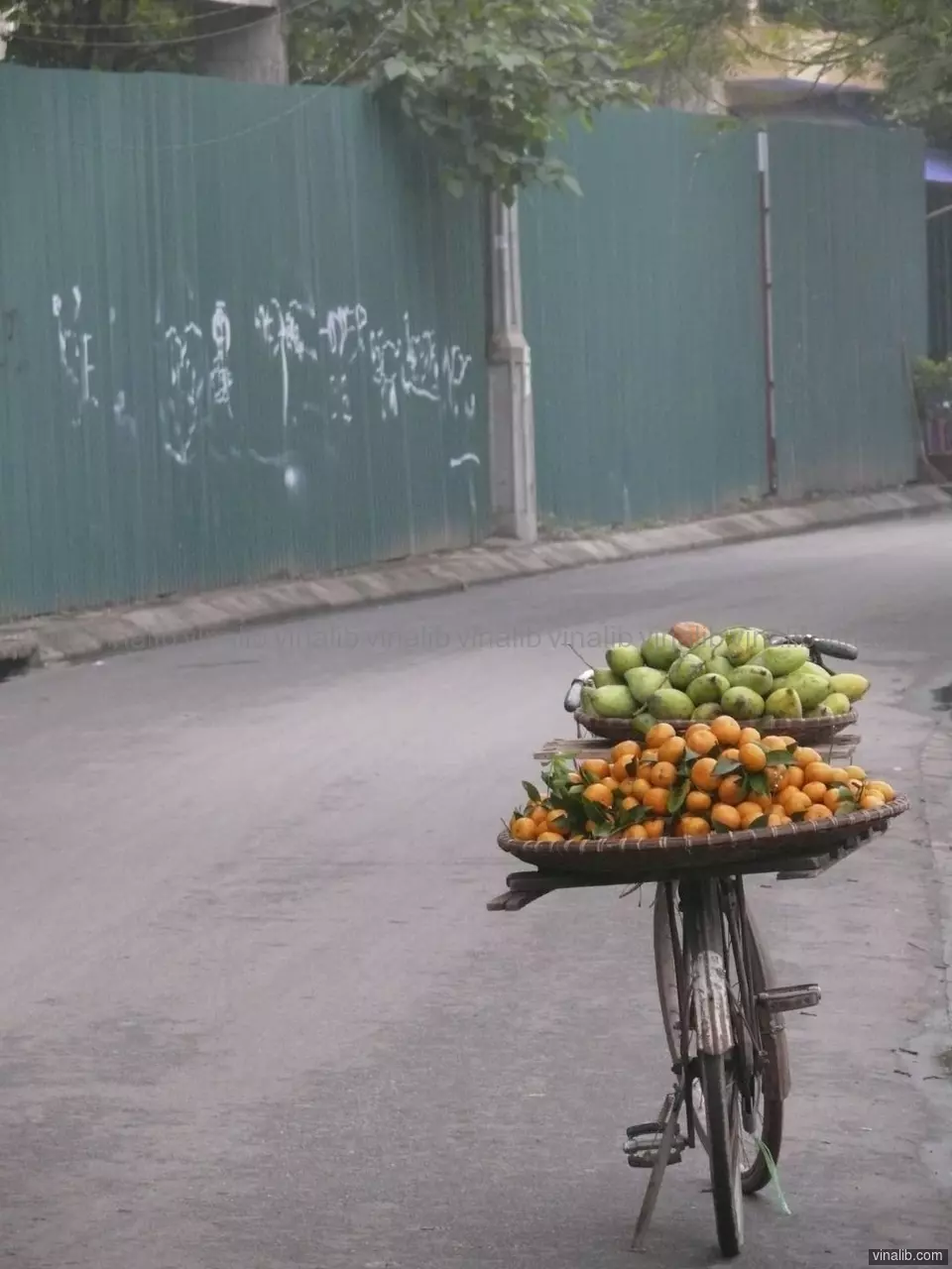 Street fresh fruits seller mobile cart in Hanoi, Vietnam - Vinalib Stock Pictures