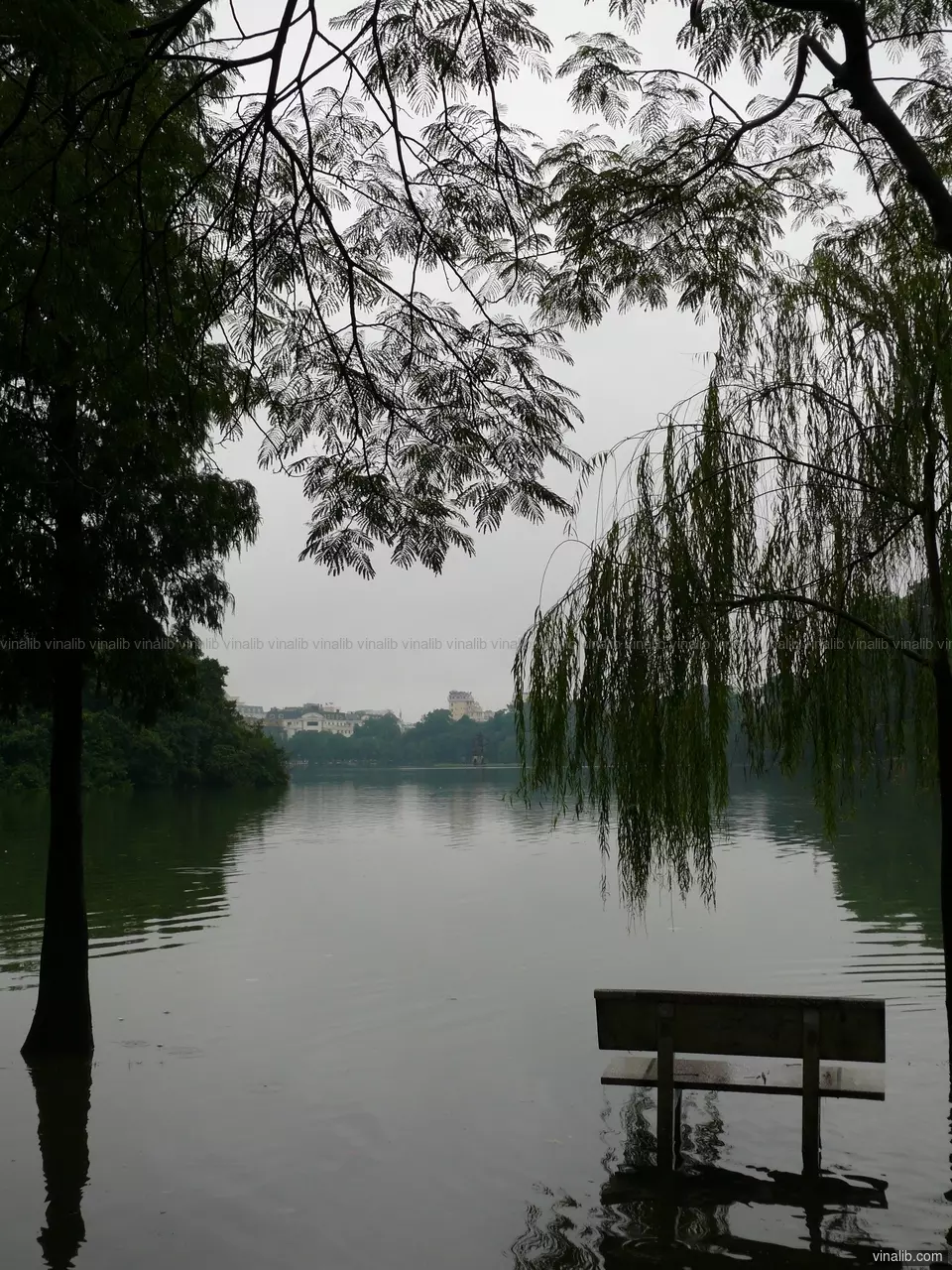 Flooded Hoan Kiem Lake, 2008 - Vinalib Stock Pictures