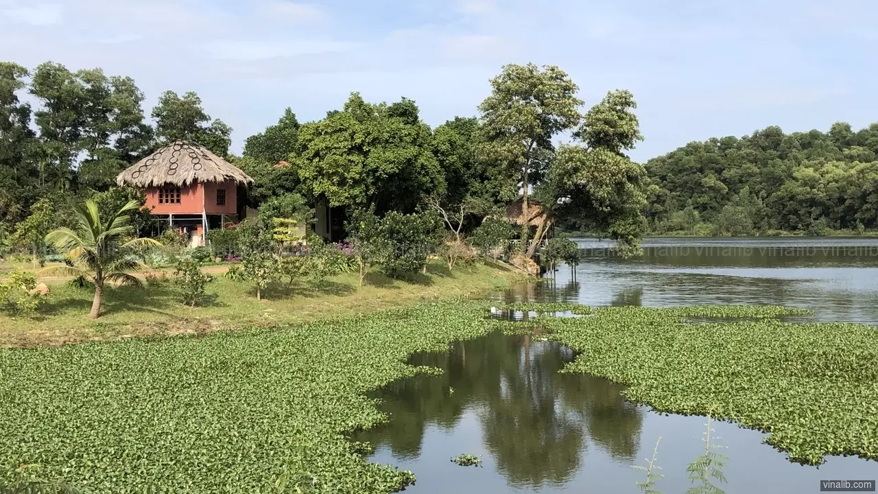 A lake in Nam Son commune, Soc Son district, Hanoi - Vinalib Stock Pictures