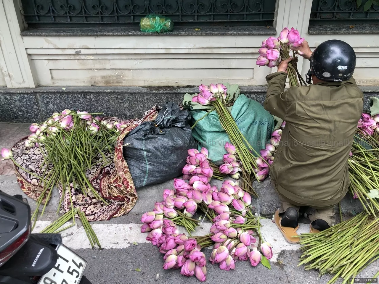 A roadside flower vendor arranges bundles of freshly cut pink lotus flowers, preparing them for sale in a busy urban neighborhood.