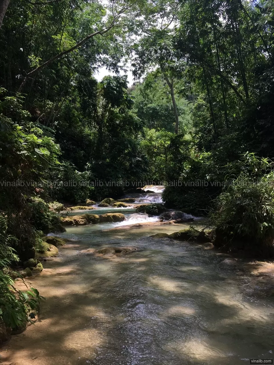 A stream, Lac Son district, Tu Do commune - Vinalib Stock Pictures