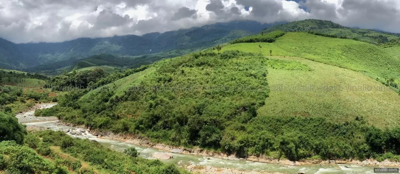 Manual harvesting of a whole mountain - Vinalib Stock Pictures