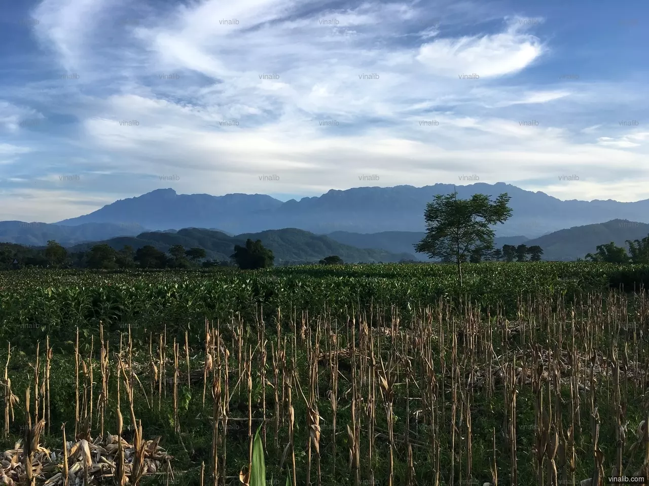 Tam Duong, Lai Chau province - Vinalib Stock Pictures
