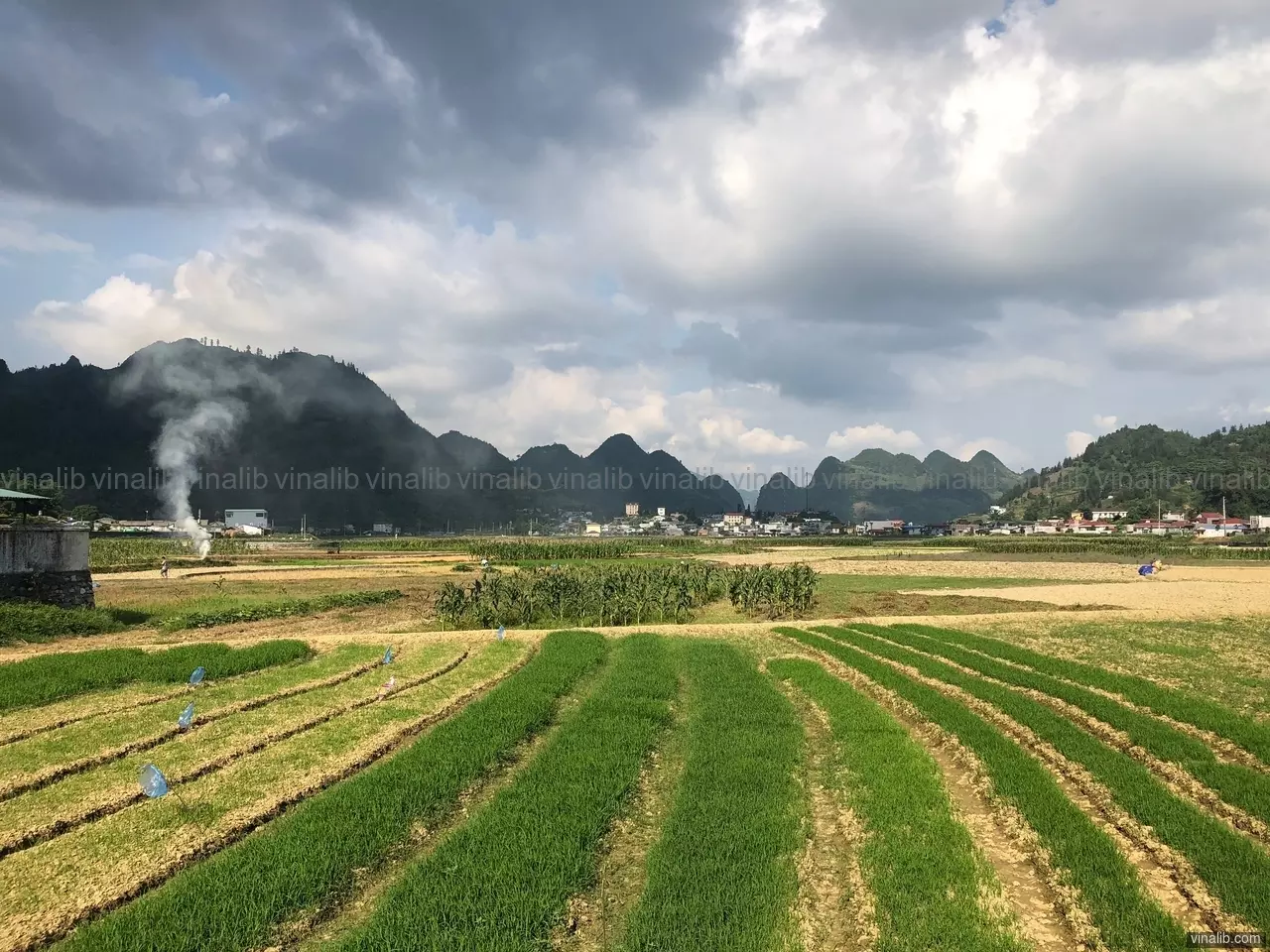 Muong Khuong - Vinalib Stock Pictures