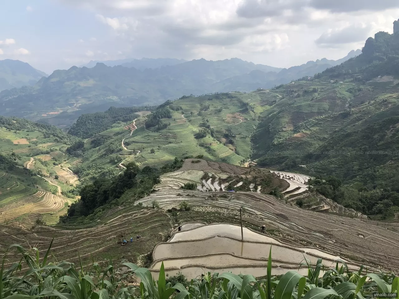 Muong Khuong rice terraces, Lai Cao province - Vinalib Stock Pictures