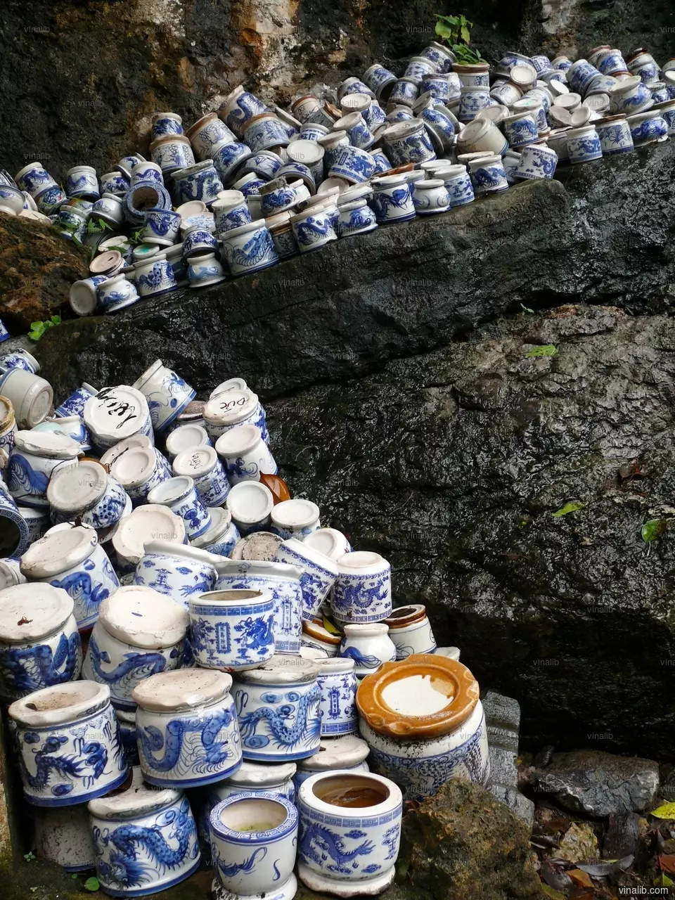 Những cái bát - Vinalib Stock Pictures