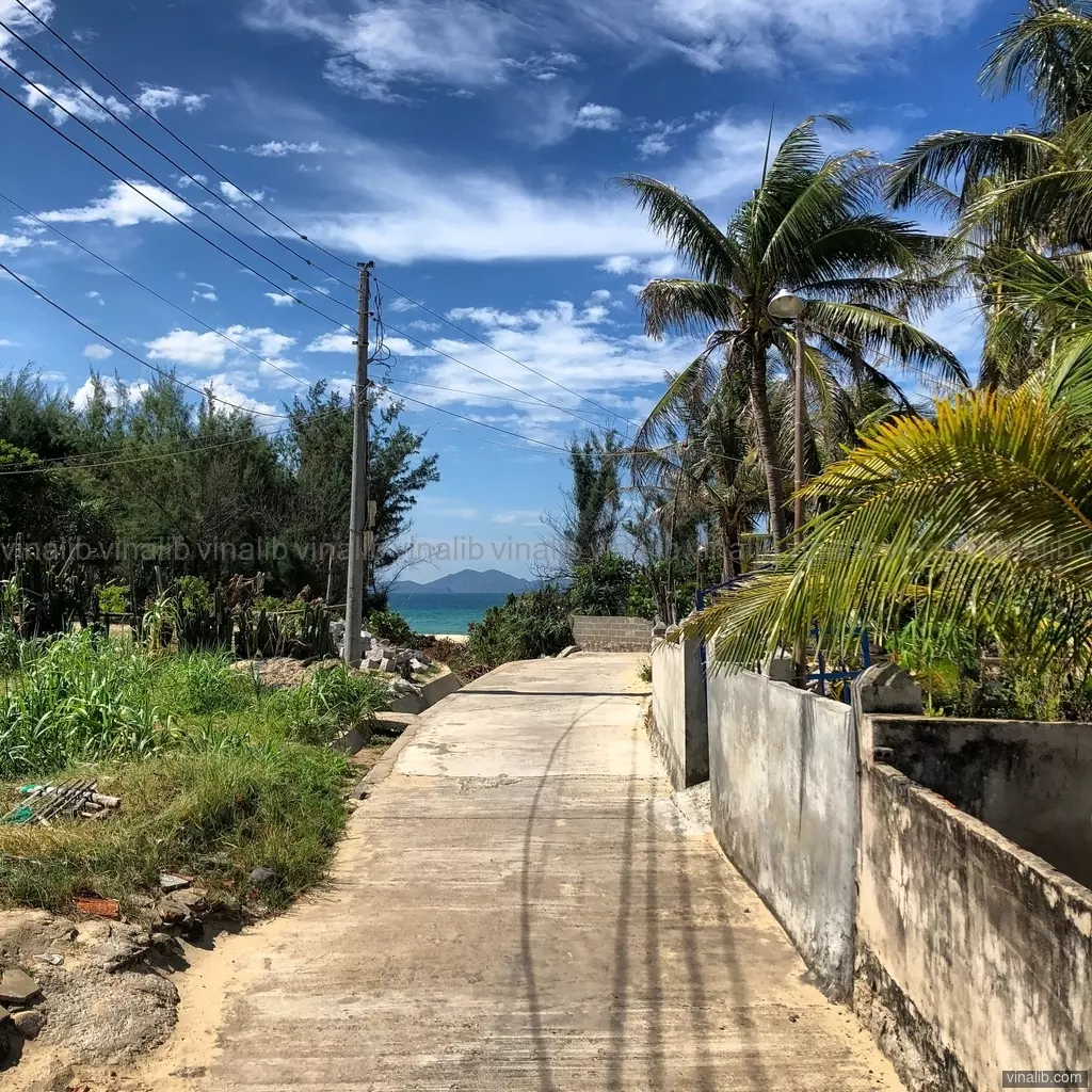 One of those roads to the beach - Vinalib Stock Pictures