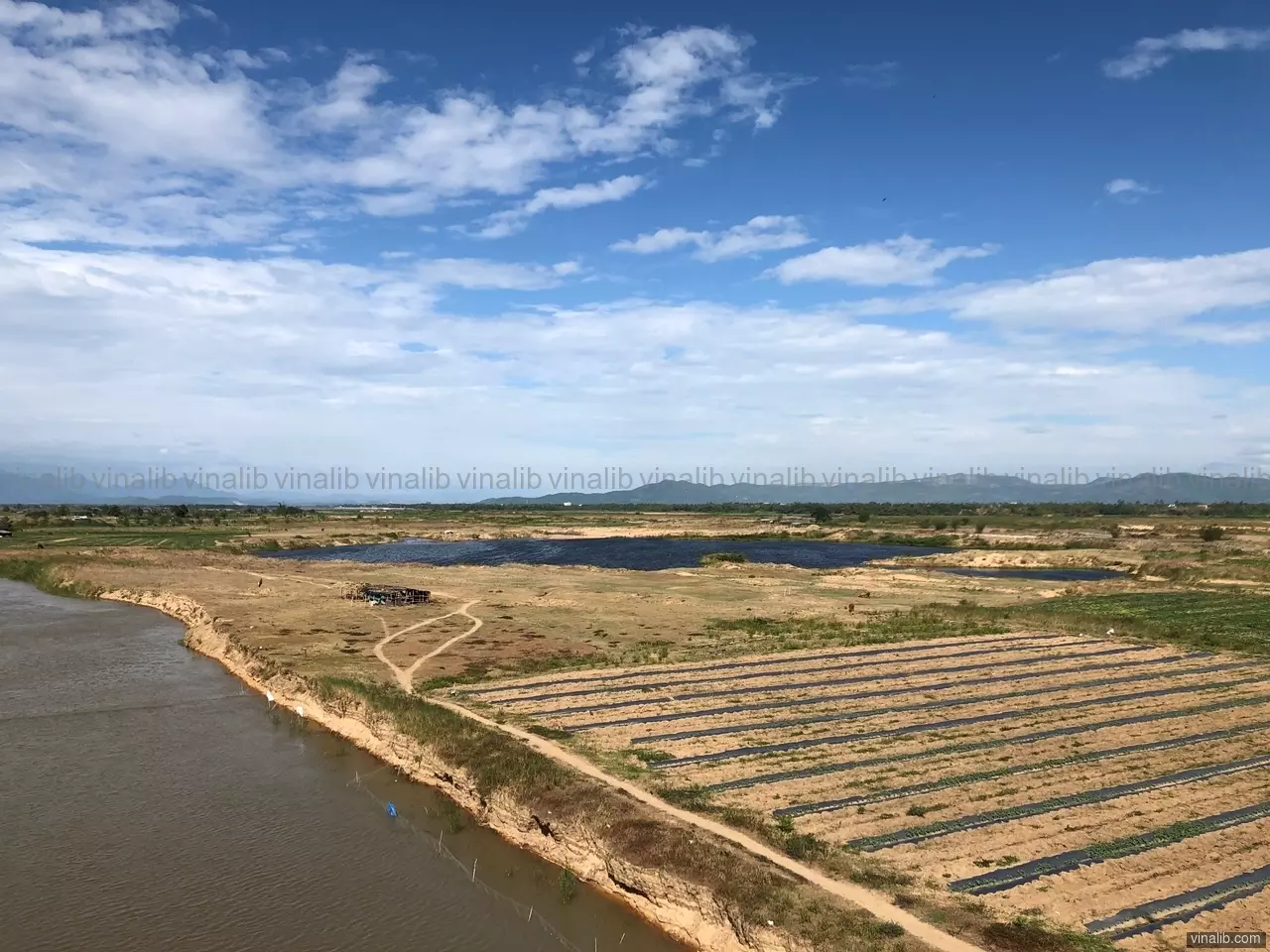 Agriculture in Hoa Thanh commune, Dong Hoa district - Vinalib Stock Pictures