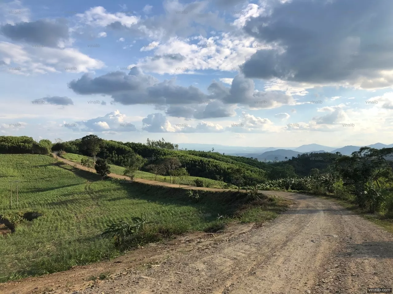 Off-road on the highlands of Phu Yen province - Vinalib Stock Pictures