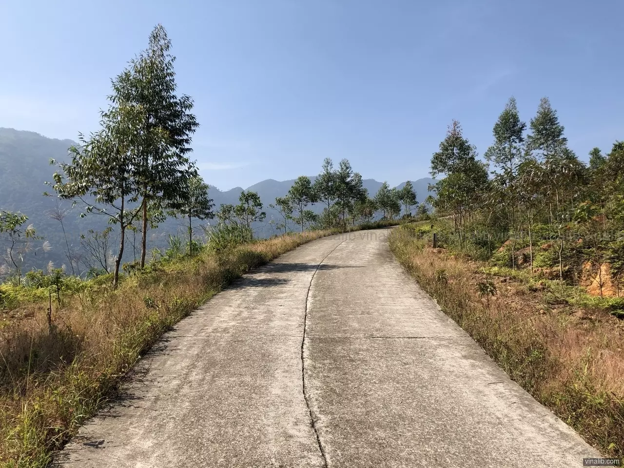 A steep paved mountainous road bordered by trees in Binh Lieu district - Vinalib Stock Pictures