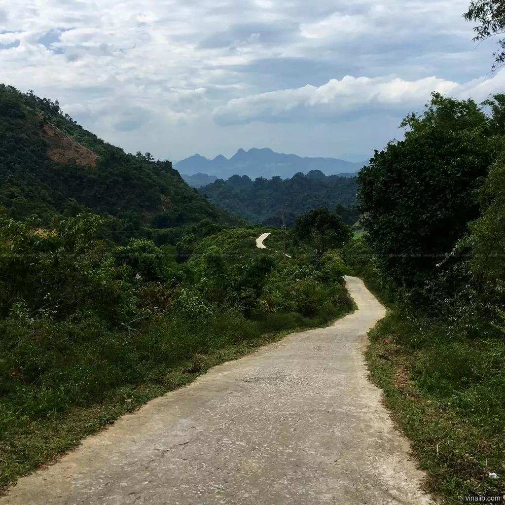 The road to.. - Vinalib Stock Pictures