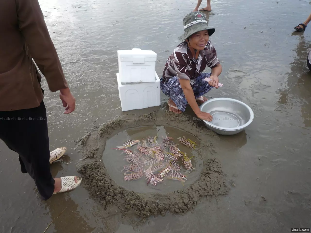 Seafood market, on the beach - Vinalib Stock Pictures