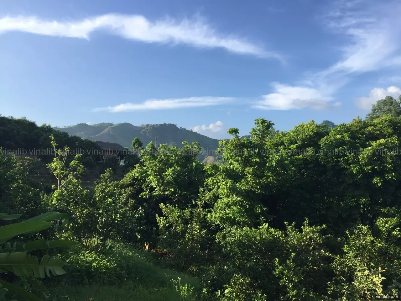 In the green, Tuyen Quang province - Vinalib Stock Pictures